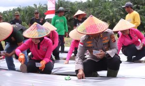 IMG-20241220-WA0041