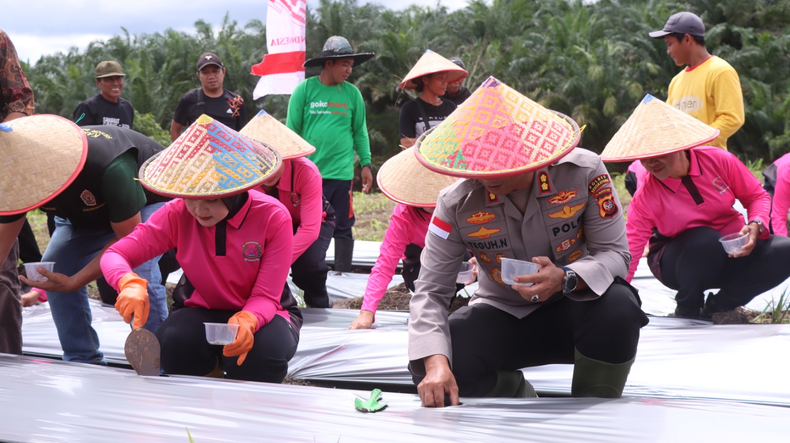 IMG-20241220-WA0041