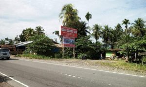 WhatsApp Image 2025-02-26 at 09.17.59