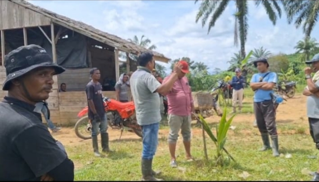 Screenshot_20251106-065355_1