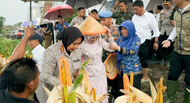 Screenshot_20251111-135540_1