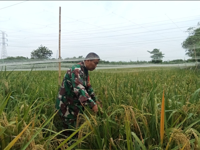 Screenshot_20251117-074655_1