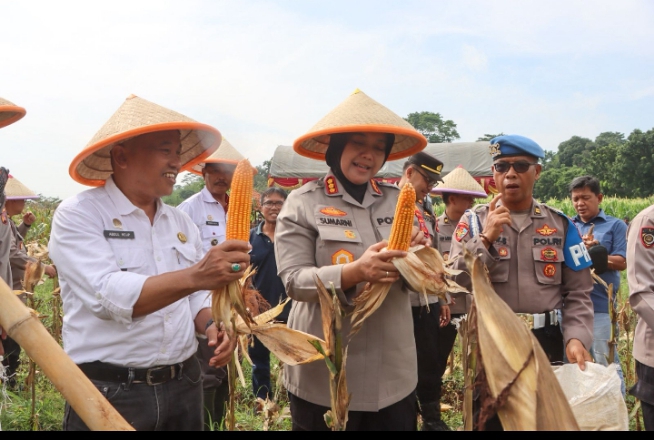 Screenshot_20251212-011354_1