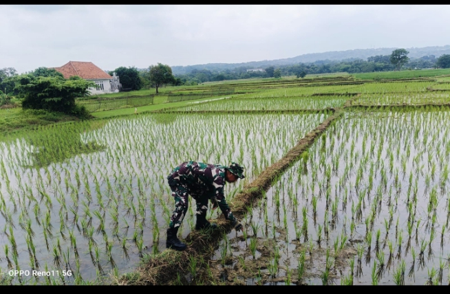 Screenshot_20251212-012054_1