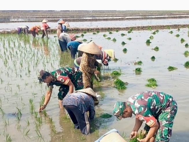 Screenshot_20251217-160254_1